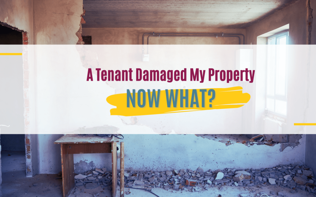 A Tenant Damaged My Property, Now What?